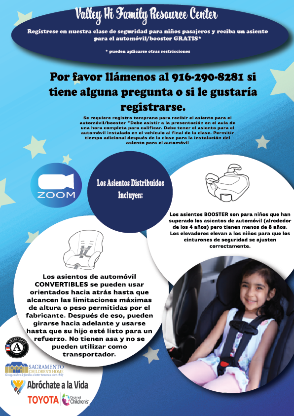 Car Seat Flyer (Español)